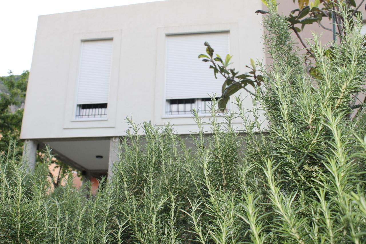 Apartments Grgurevic كوتور المظهر الخارجي الصورة